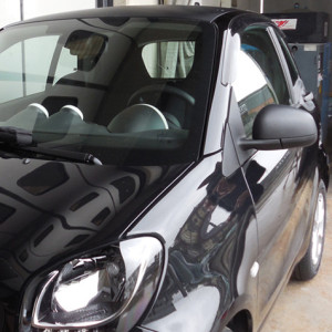 Farad Wind Deflectors for...