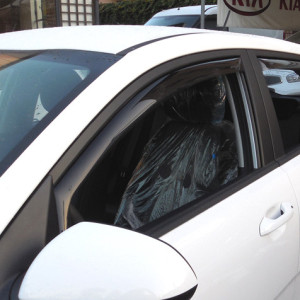 Farad Wind Deflectors for...