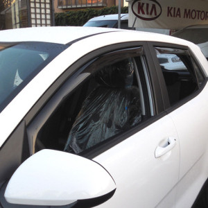 Farad Wind Deflectors for...