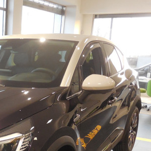 Farad Wind Deflectors for...